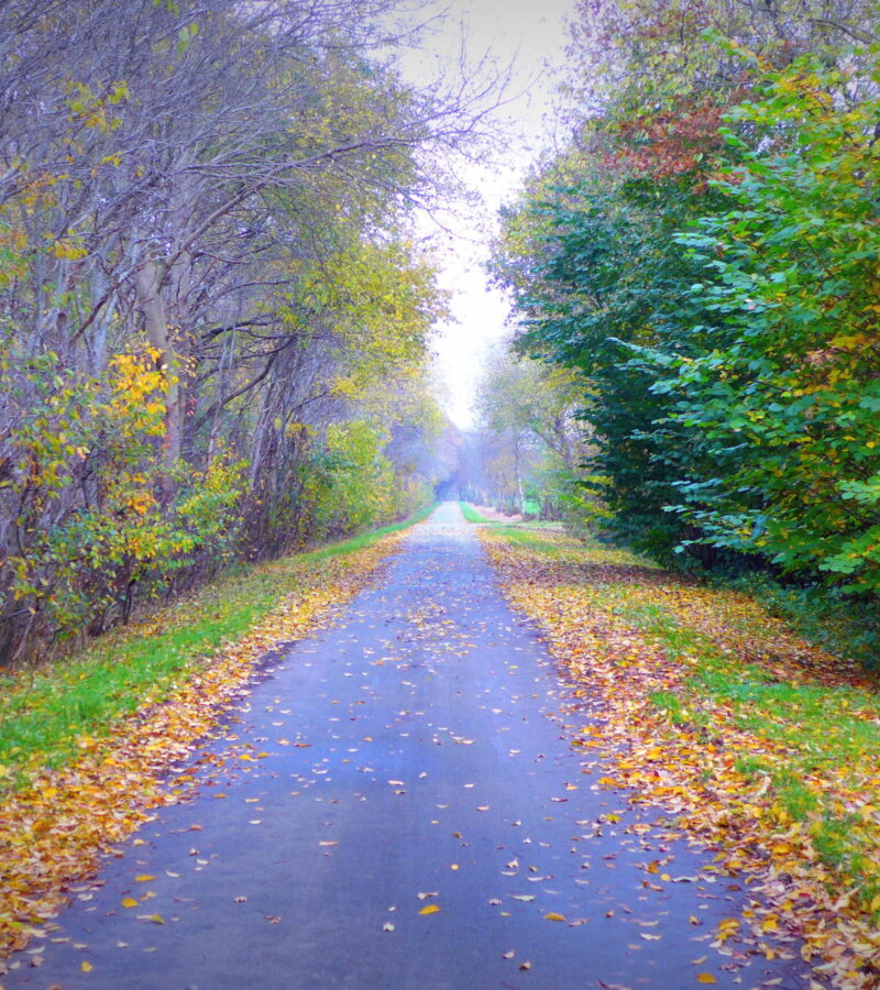 Wie der Beginn, so das Ende