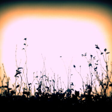 Licht ist ein Gefühl