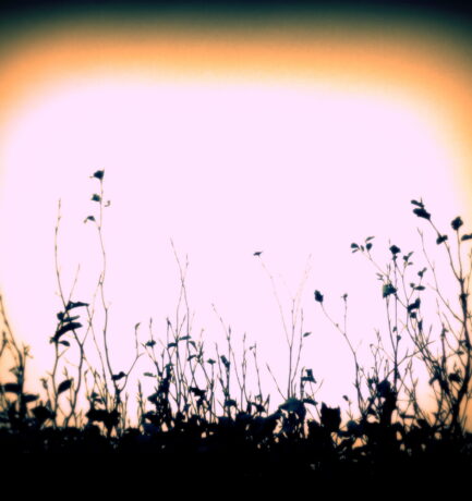 Licht ist ein Gefühl