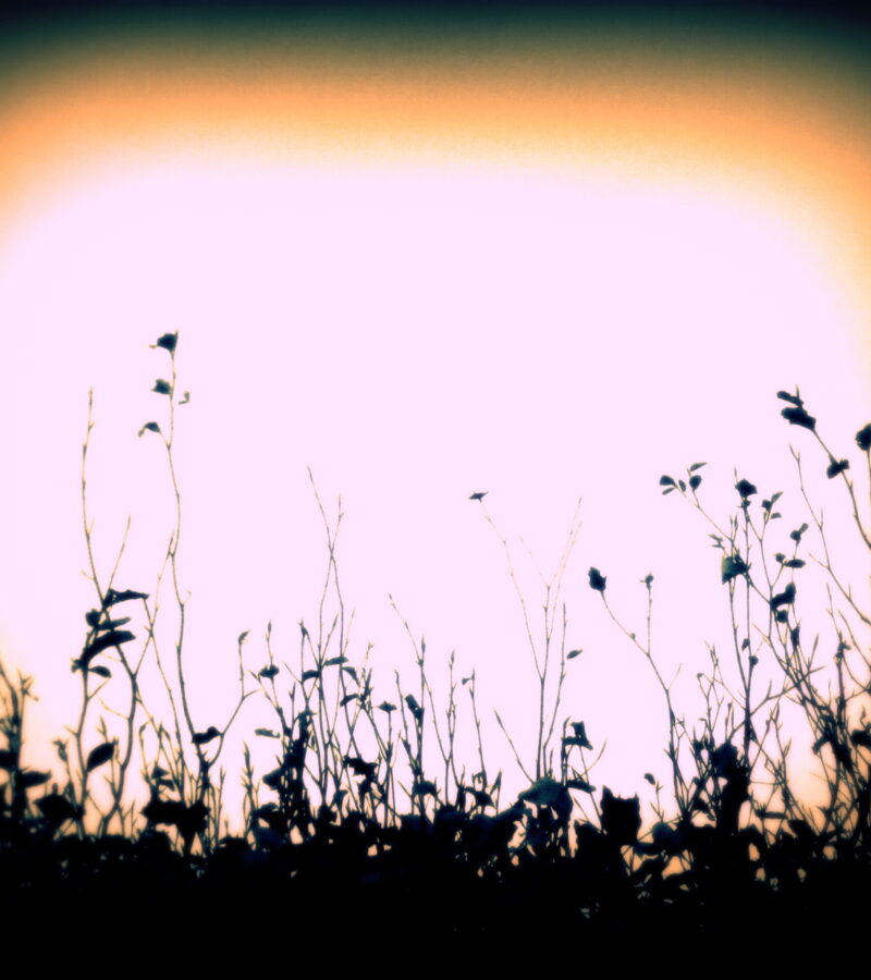 Licht ist ein Gefühl