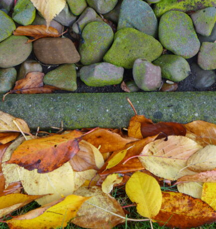 Steine sind stumme Lehrer. Sie machen den Beobachter stumm, und das Beste, was man von ihnen lernt, ist nicht mitzuteilen.