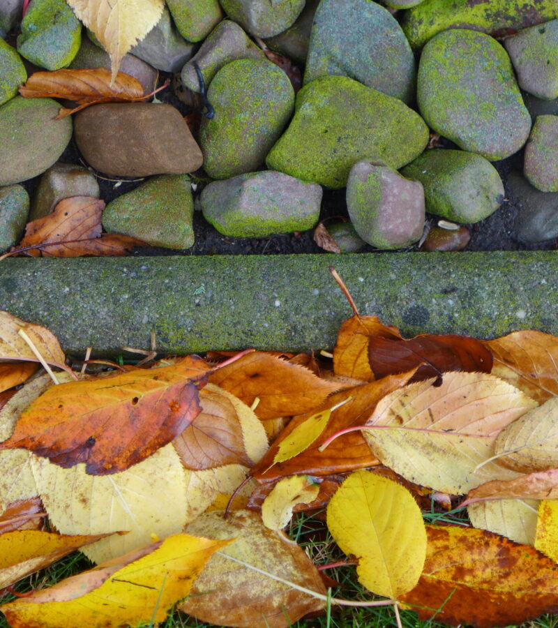 Steine sind stumme Lehrer. Sie machen den Beobachter stumm, und das Beste, was man von ihnen lernt, ist nicht mitzuteilen.