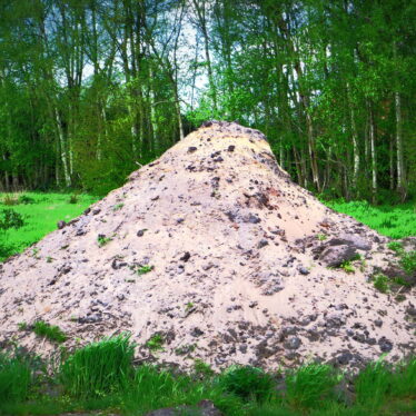 Sandkörner gibt‘s überall!