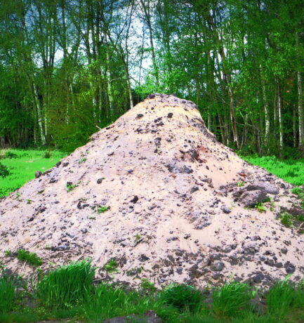 Sandkörner gibt‘s überall!
