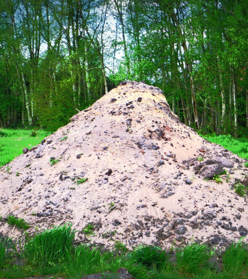 Sandkörner gibt‘s überall!