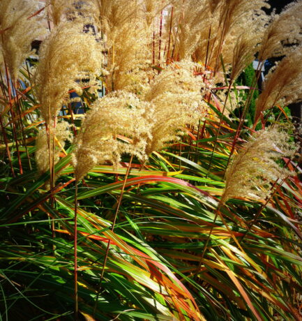 Let the Sunshine in!