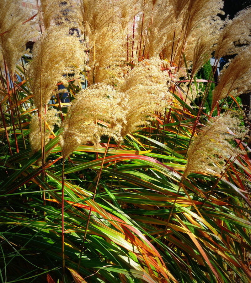 Let the Sunshine in!