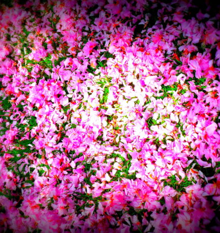 Danke, liebe Oma in Übersee!