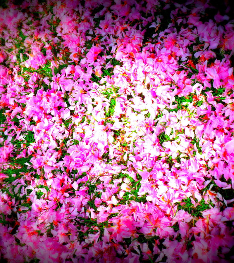 Danke, liebe Oma in Übersee!