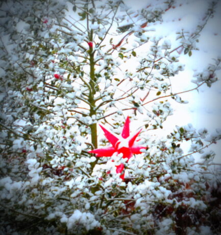 Zauberer wissen ihre Zeit