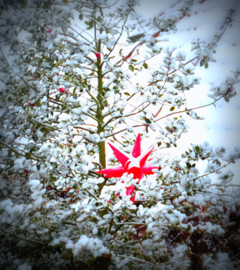 Zauberer wissen ihre Zeit