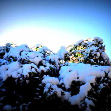 Bekommt der Winter seine Schwäche, zieht er sich in raue Berge zurück.