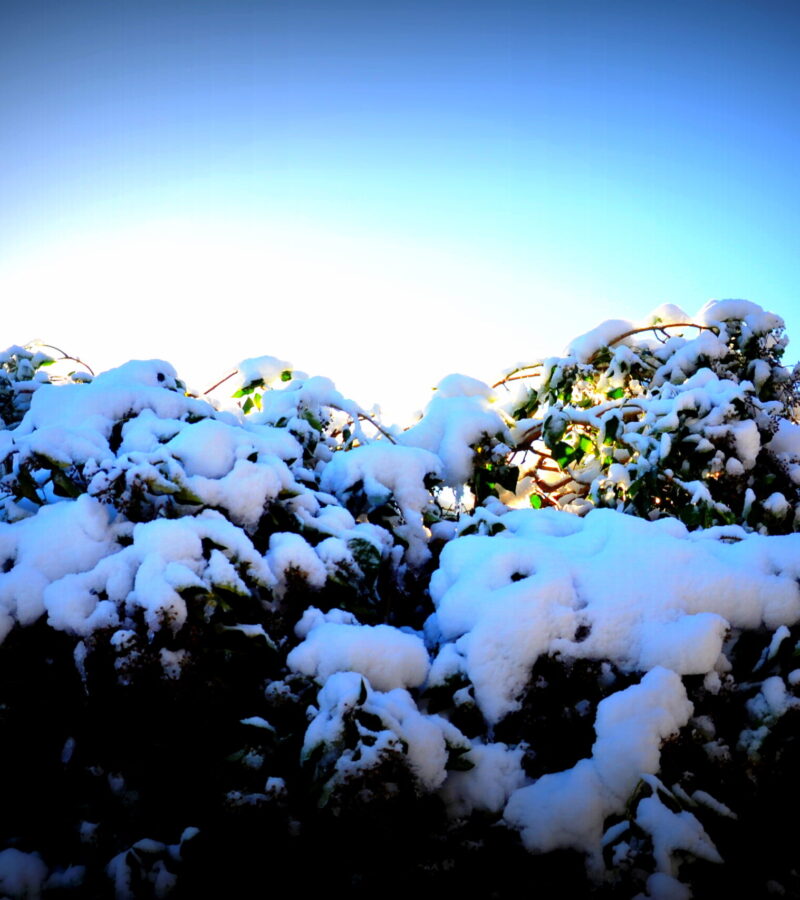 Bekommt der Winter seine Schwäche, zieht er sich in raue Berge zurück.