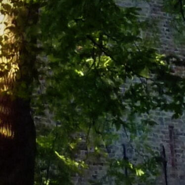 Wer den Winter nicht meidet, hat die schönsten Blumen verdient!