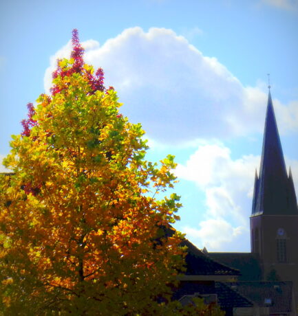 Mit Vernunft muss man Menschen zur Wahrheit führen.