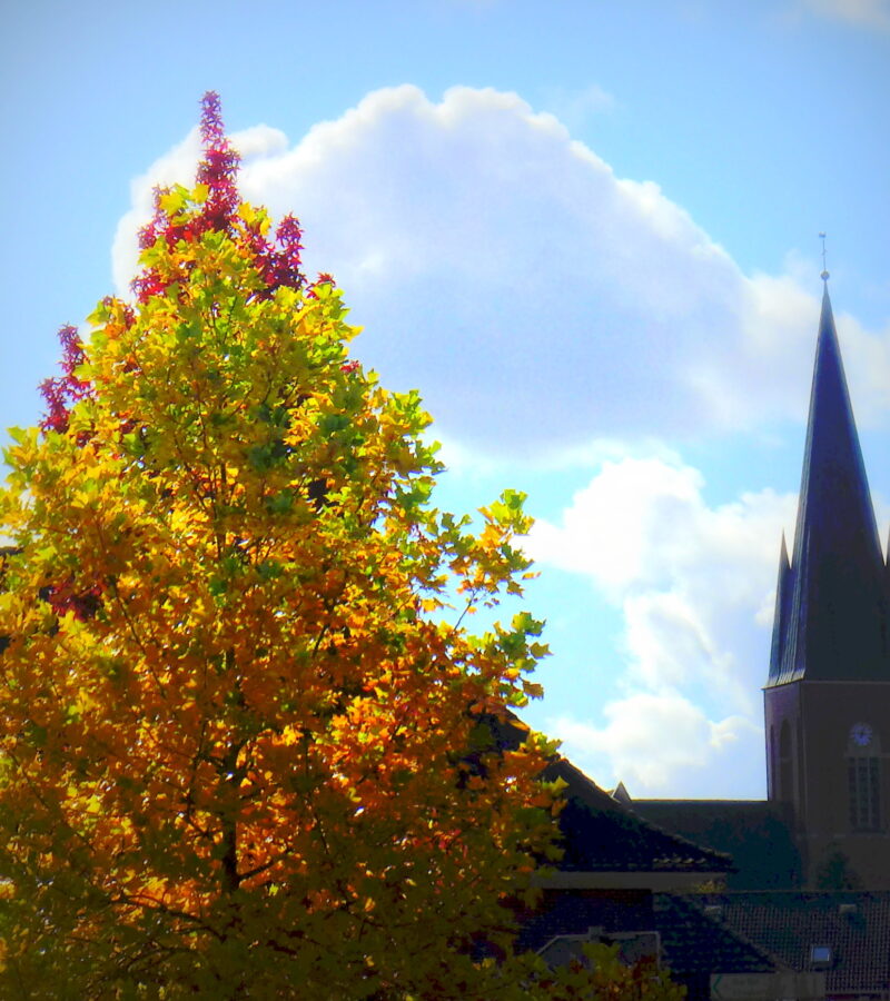 Mit Vernunft muss man Menschen zur Wahrheit führen.