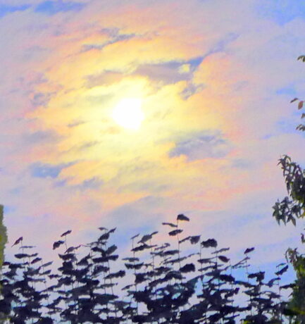 Früh am Fenster steh’n, aber dann geh’n, um schöne Bilder anzuseh‘n!