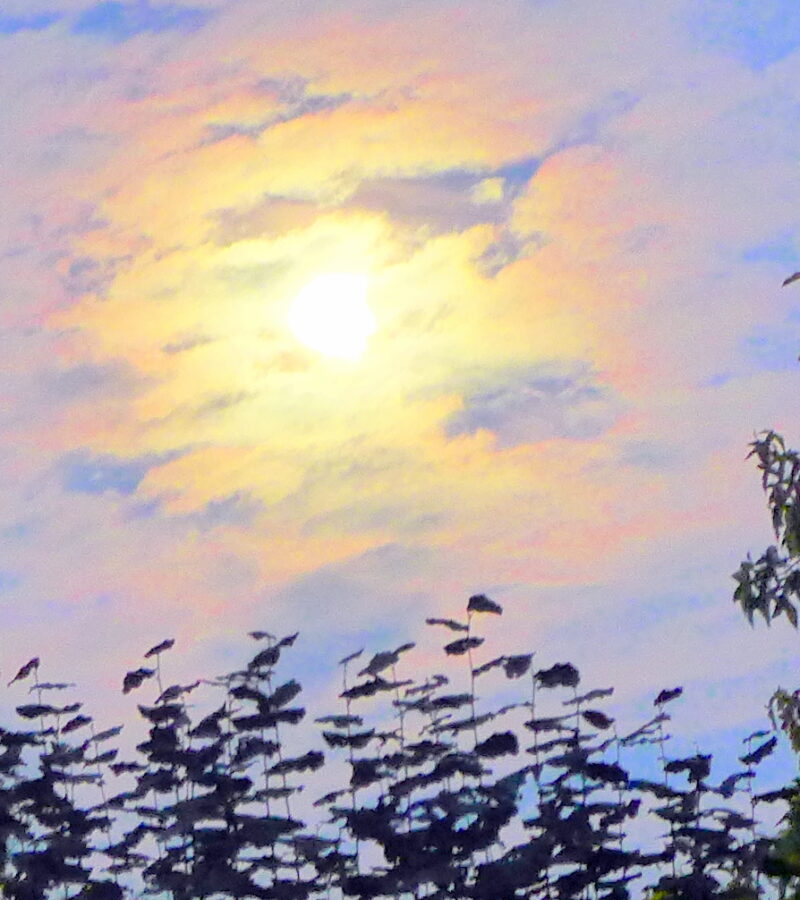 Früh am Fenster steh’n, aber dann geh’n, um schöne Bilder anzuseh‘n!