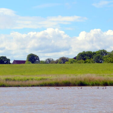 Mit Leichtigkeit lässt sich die Schönheit der Natur erkennen und lieben.