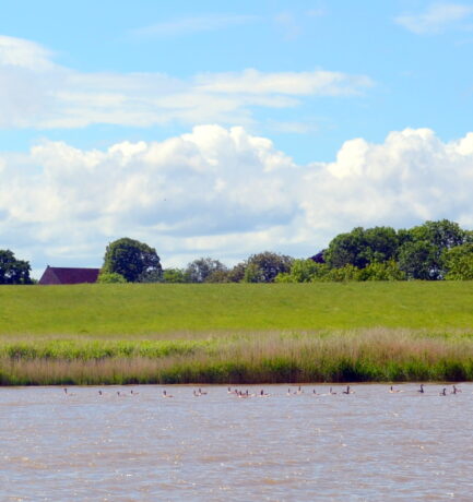 Mit Leichtigkeit lässt sich die Schönheit der Natur erkennen und lieben.