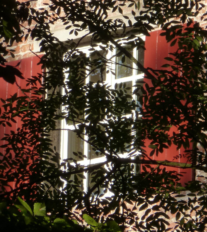 Nur wer sein Ziel kennt, findet seinen Weg