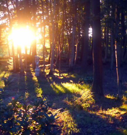 Es ist eine aufklärerische Daueraufgabe, sich der Verdunkelung und Vernebelung entgegenzustellen.