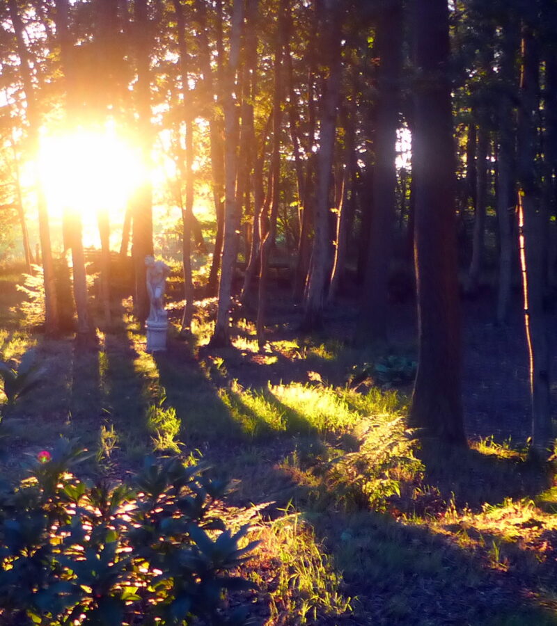 Es ist eine aufklärerische Daueraufgabe, sich der Verdunkelung und Vernebelung entgegenzustellen.
