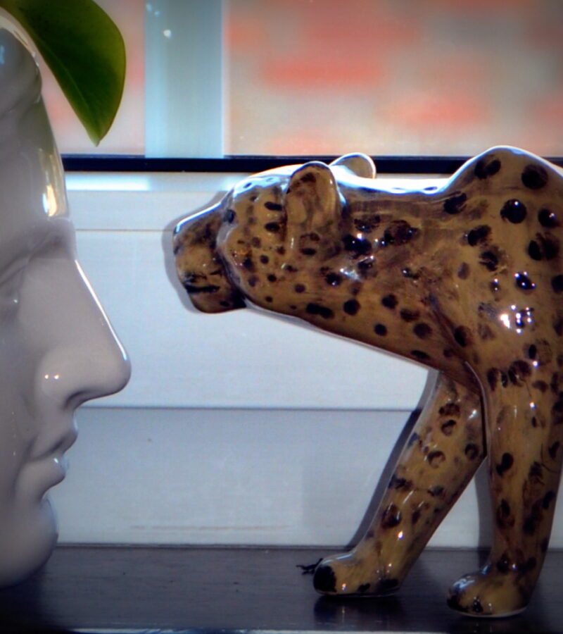 Sein Jahrhundert kann man nicht verändern