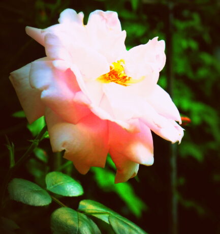 Große Künstler sind von Moral