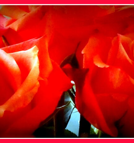Dafür die schönsten Rosen: „Mein ganzes Leben, meine ganze Seele, mein ganzer Geist ist es, dieses Horn zu blasen.“