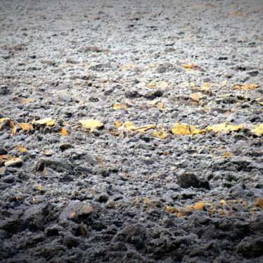 Der Herbst ist immer unsere beste Zeit