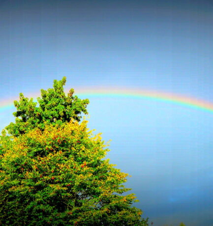 Du wirst nie einen Regenbogen finden, wenn du nach unten schaust.