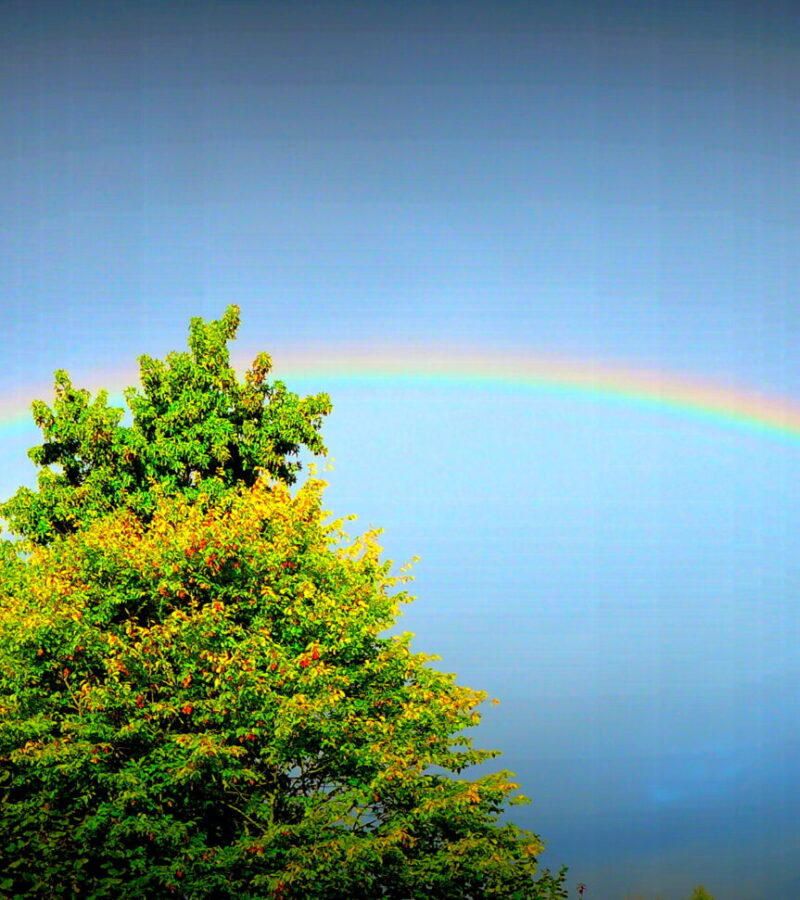 Du wirst nie einen Regenbogen finden, wenn du nach unten schaust.